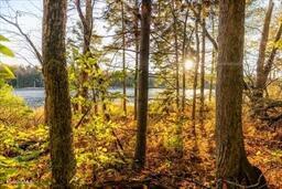 0 Johnson Rd, Becket, MA 01223 photo 6