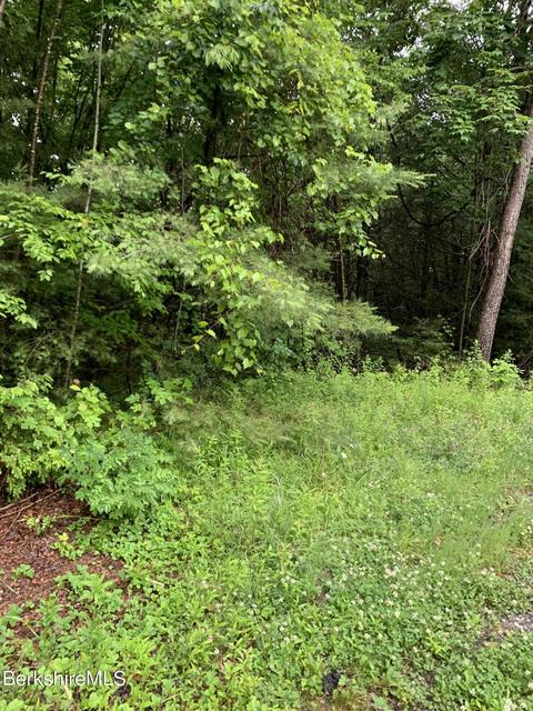lot Apt 8 East Mountain Rd, Great Barrington, MA 01230