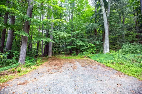 294 Tyringham Rd, Otis, MA 01253 photo 45