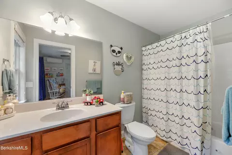 71 Goose Pond Rd, Tyringham, MA 01264 photo 21