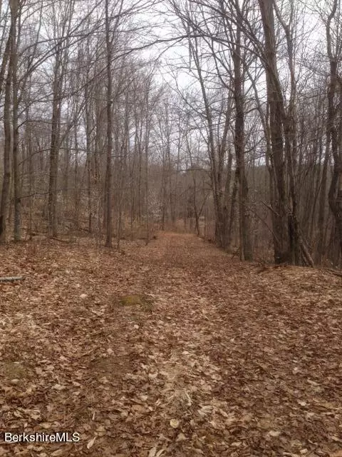Matteau Rd, Peru, MA 01235 photo 8