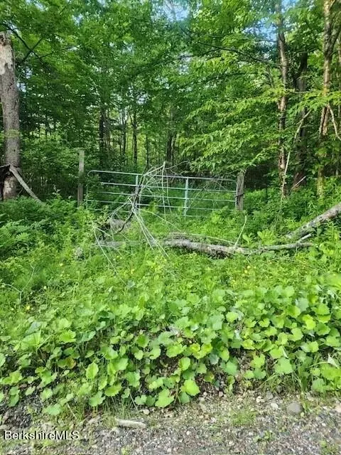 Matteau Rd, Peru, MA 01235
