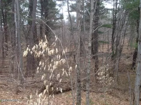 Matteau Rd, Peru, MA 01235 photo 13