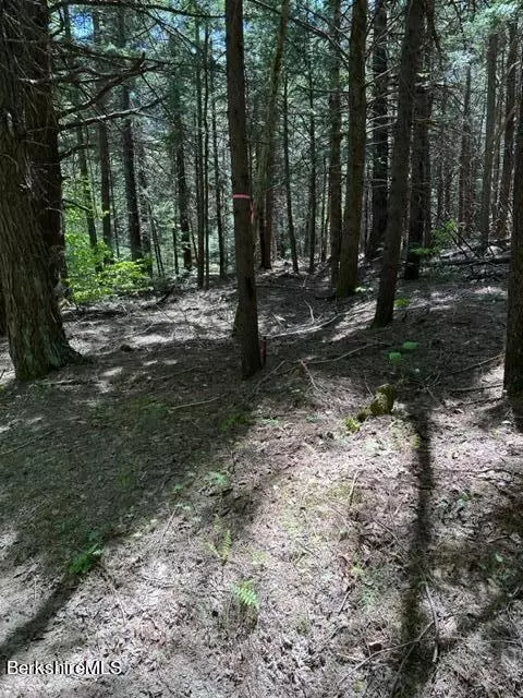 Pierce Rd, Windsor, MA 01270 photo 3
