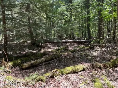 Pierce Rd, Windsor, MA 01270 photo 11
