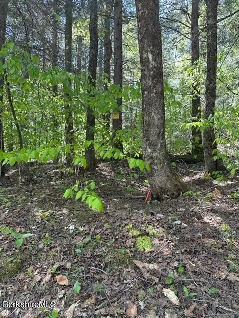 Pierce Rd, Windsor, MA 01270 photo 6