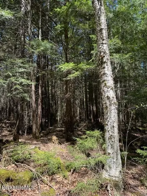 Pierce Rd, Windsor, MA 01270 photo 10