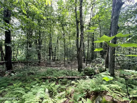 Lot97 Town Hill Rd, Middlefield, MA 01243