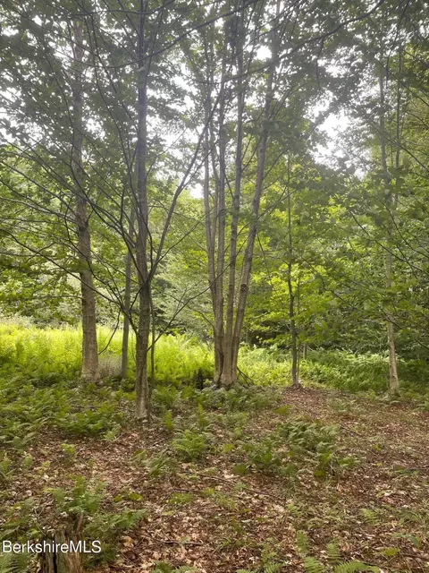 0 Curtin Rd, Peru, MA 01235 photo 5
