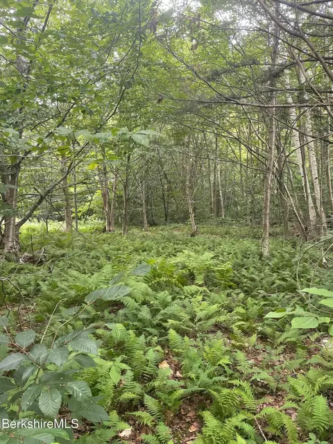 0 Curtin Rd, Peru, MA 01235 photo 3