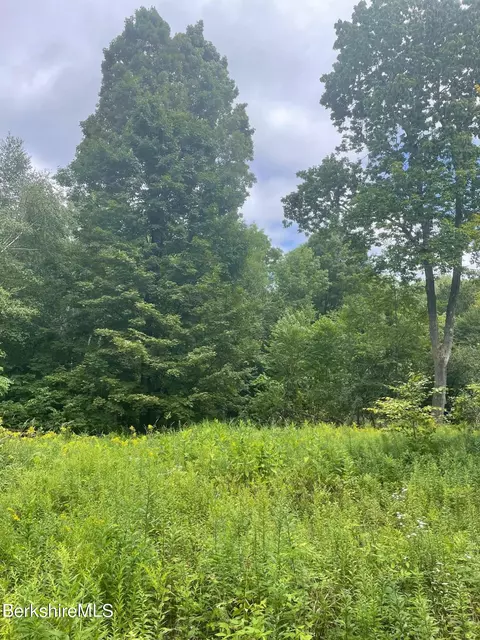 0 Curtin Rd, Peru, MA 01235 photo 10