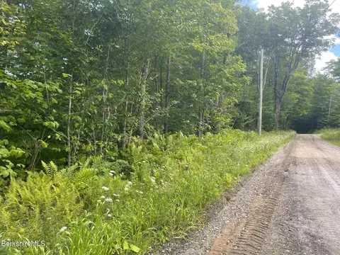 0 Curtin Rd, Peru, MA 01235 photo 8