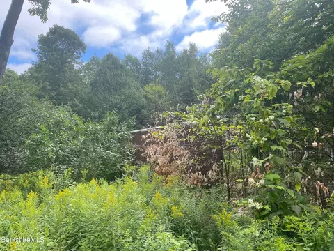 0 Curtin Rd, Peru, MA 01235 photo 11