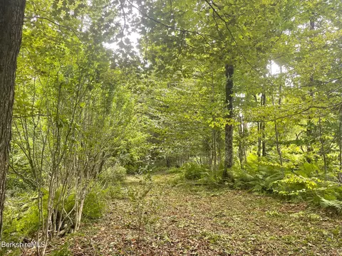 0 Curtin Rd, Peru, MA 01235 photo 2