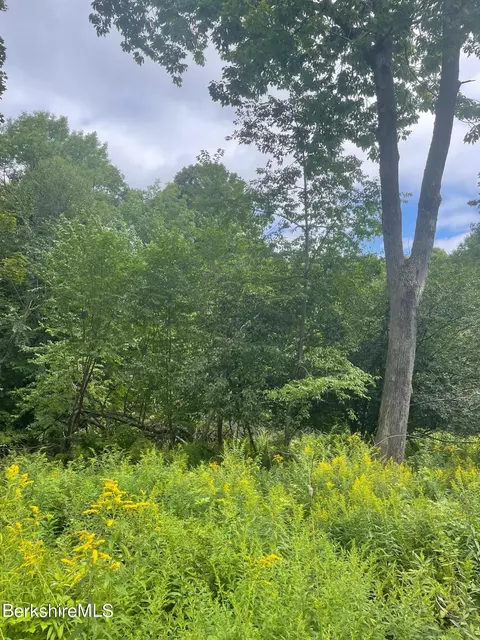 0 Curtin Rd, Peru, MA 01235 photo 12