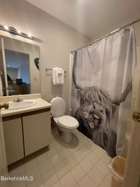 37 Corey Rd #824, Hancock, MA 01237 photo 19