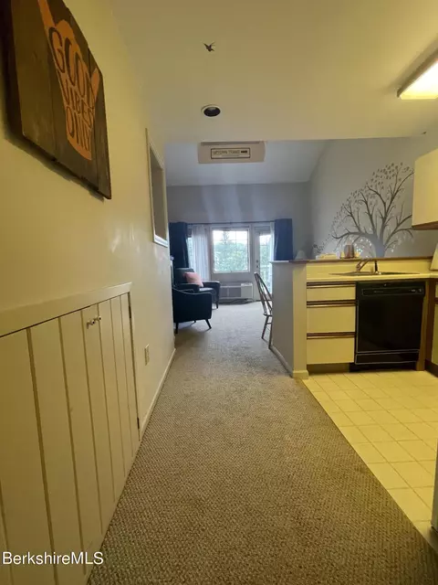 37 Corey Rd #824, Hancock, MA 01237 photo 7