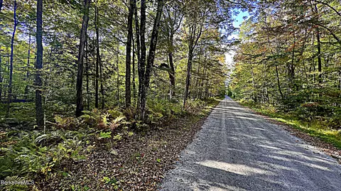 Becket Rd, Otis, MA 01253