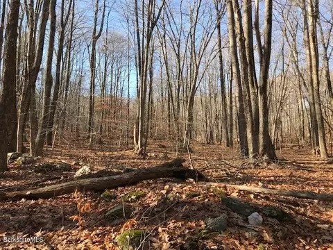 Brodie Mt. Rd, Lanesborough, MA 01237