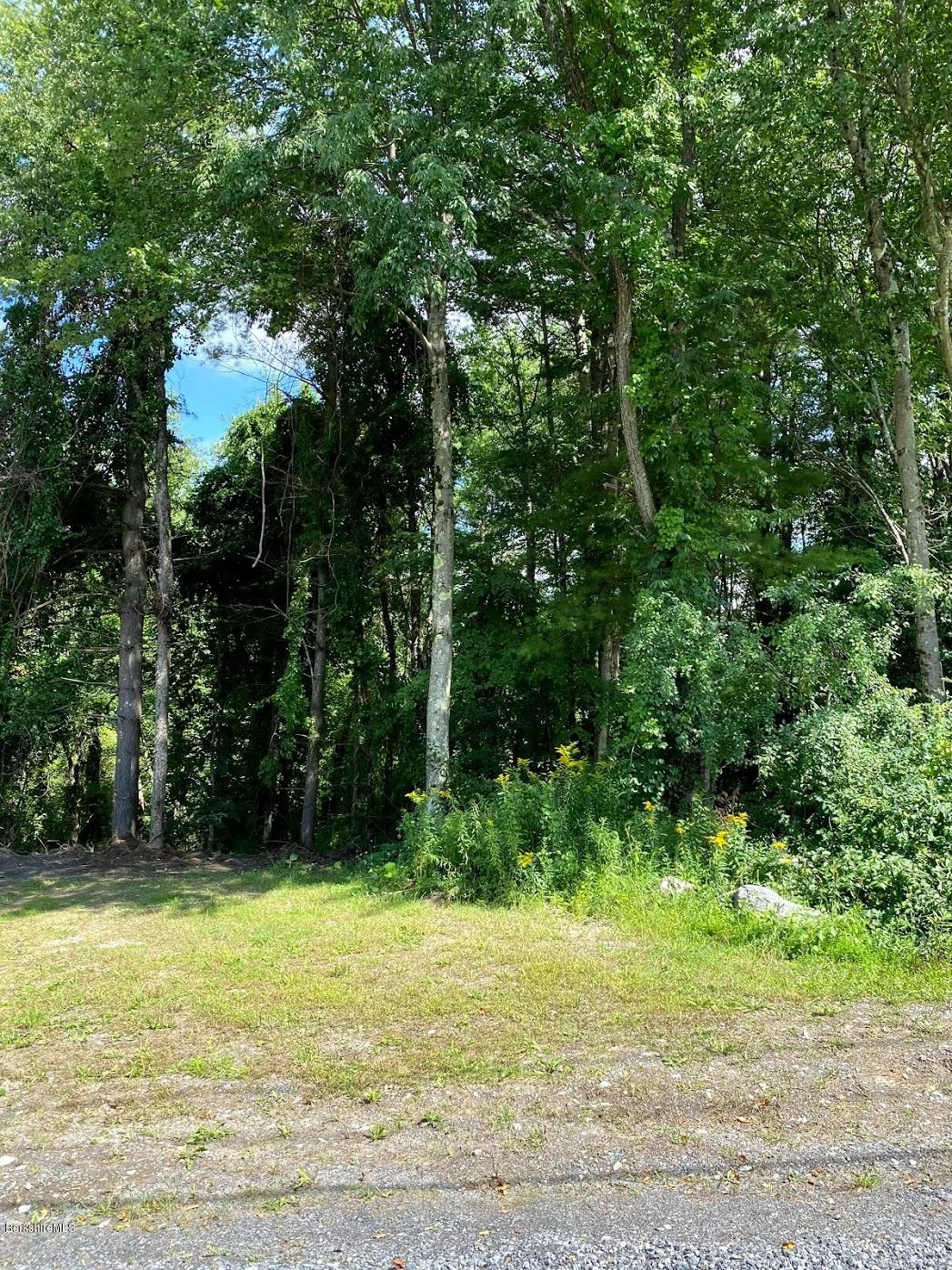 0 GREENWOOD CIR  