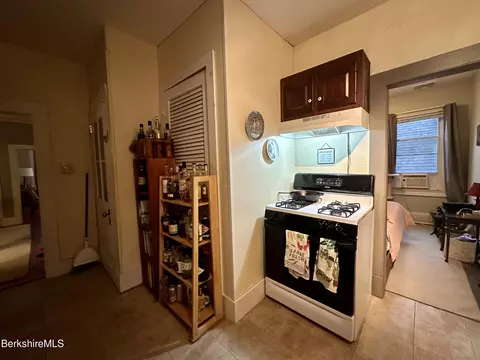 170 Appleton Ave, Pittsfield, MA 01201 photo 25