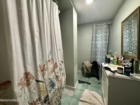 170 Appleton Ave, Pittsfield, MA 01201 photo 39