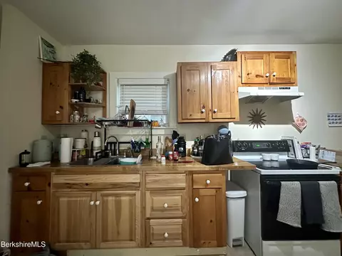 170 Appleton Ave, Pittsfield, MA 01201 photo 32