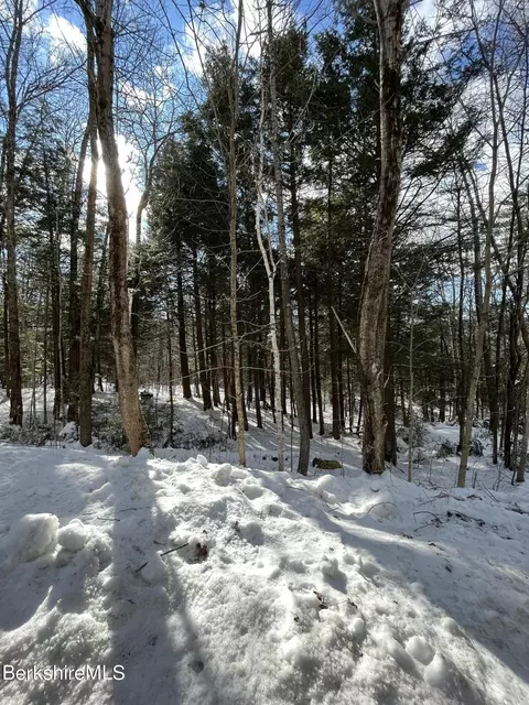 lot Apt 8 Forest Hill Dr, Hinsdale, MA 01235