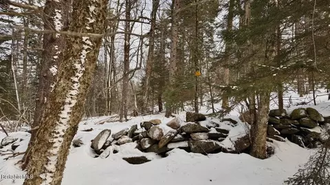 0 Spruce Dr, Peru, MA 01235 photo 8