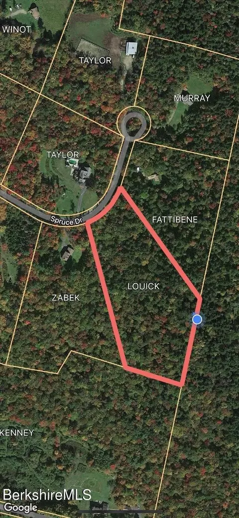 0 Spruce Dr, Peru, MA 01235 photo 17