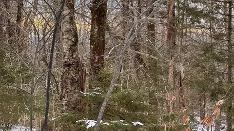 0 Spruce Dr, Peru, MA 01235 photo 6