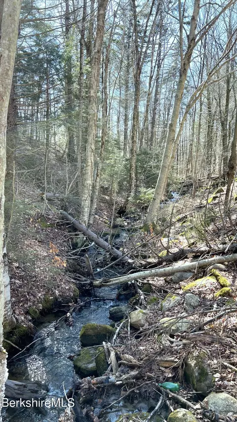 Other - 95 Middlefield Rd, Peru, MA 01235 photo 2 of 11