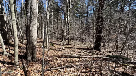 Other - 95 Middlefield Rd, Peru, MA 01235 photo 3 of 11