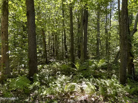 0 Webster Rd, Tyringham, MA 01264 photo 3