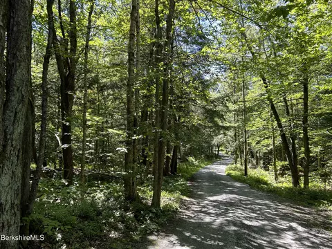 0 Webster Rd, Tyringham, MA 01264
