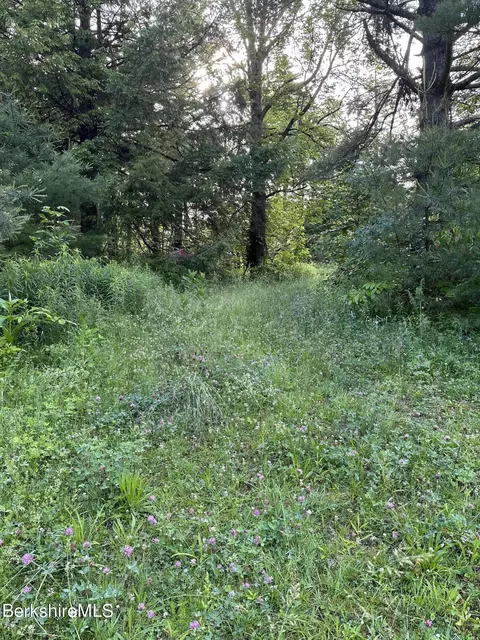 1142 Lovers Lane Rd, Washington, MA 01223