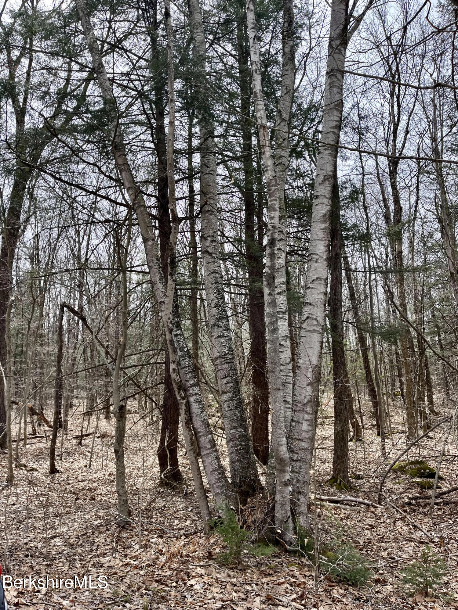 0 Moberg Rd  