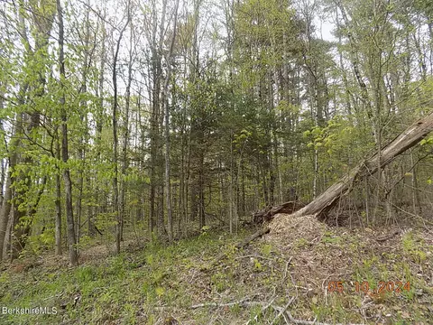 East Washington Rd, Hinsdale, MA 01235