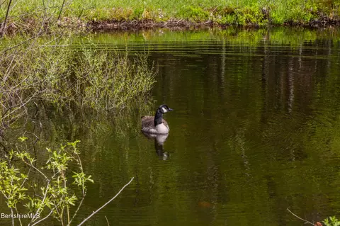 Other - 327 River Rd, Florida, MA 01247 photo 6 of 11