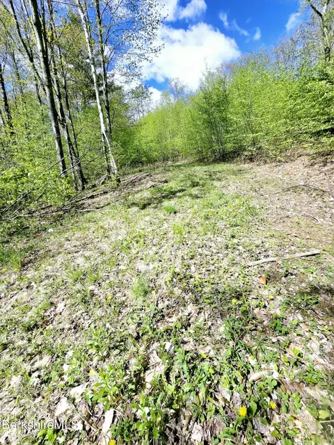 lot9 Roys Rd, New Ashford, MA 01237