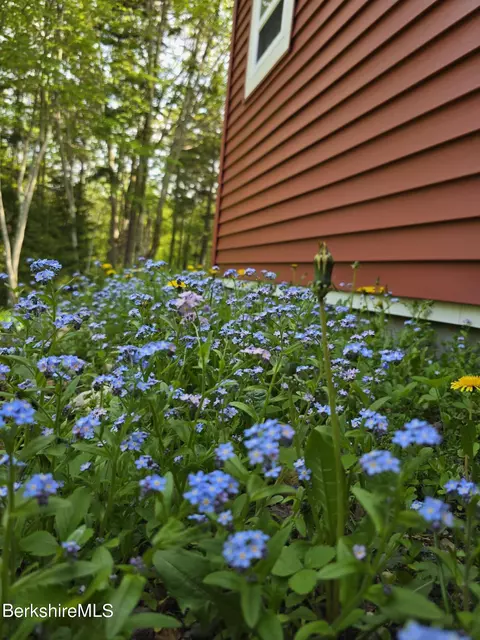 Exterior - 123 Mohawk Trl, Florida, MA 01247 photo 15 of 26