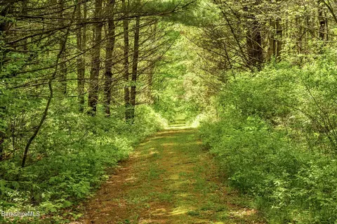 Other - 403 S Undermountain Rd, Sheffield, MA 01257 photo 9 of 11