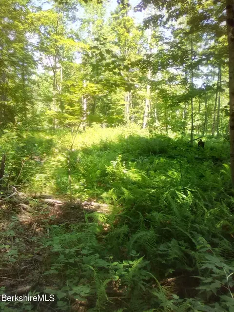 0 E Windsor Rd, Windsor, MA 01270