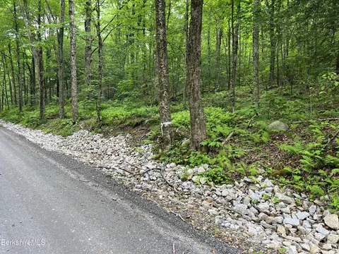0 Hickingbotham Rd, Peru, MA 01235 photo 8