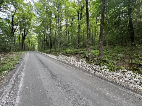 0 Hickingbotham Rd, Peru, MA 01235 photo 9