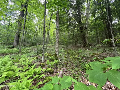 0 Hickingbotham Rd, Peru, MA 01235 photo 3