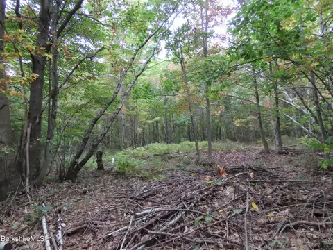 23 S County Rd, Florida, MA 01247 photo 13
