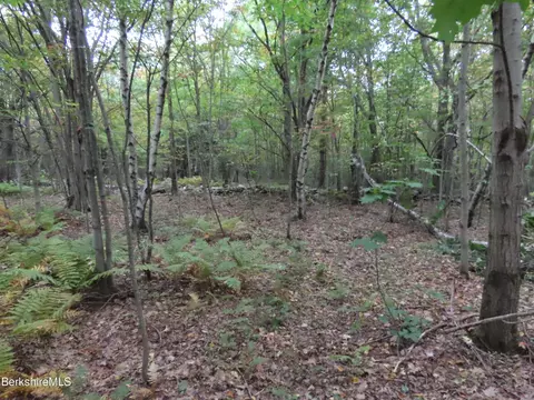 23 S County Rd, Florida, MA 01247 photo 14