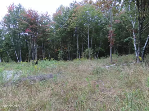 23 S County Rd, Florida, MA 01247 photo 21