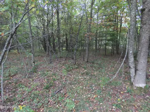 23 S County Rd, Florida, MA 01247 photo 16
